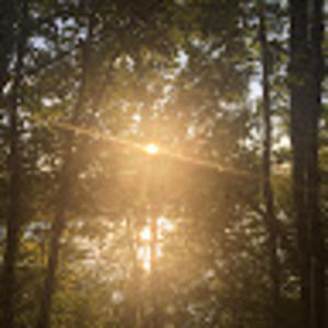 Meet your Posher, Adèle